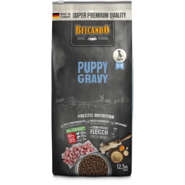 Premium puppy food with gravy